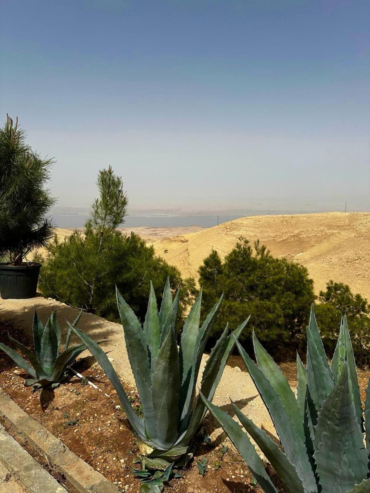 Golden Rays Chalet Madaba Exteriér fotografie