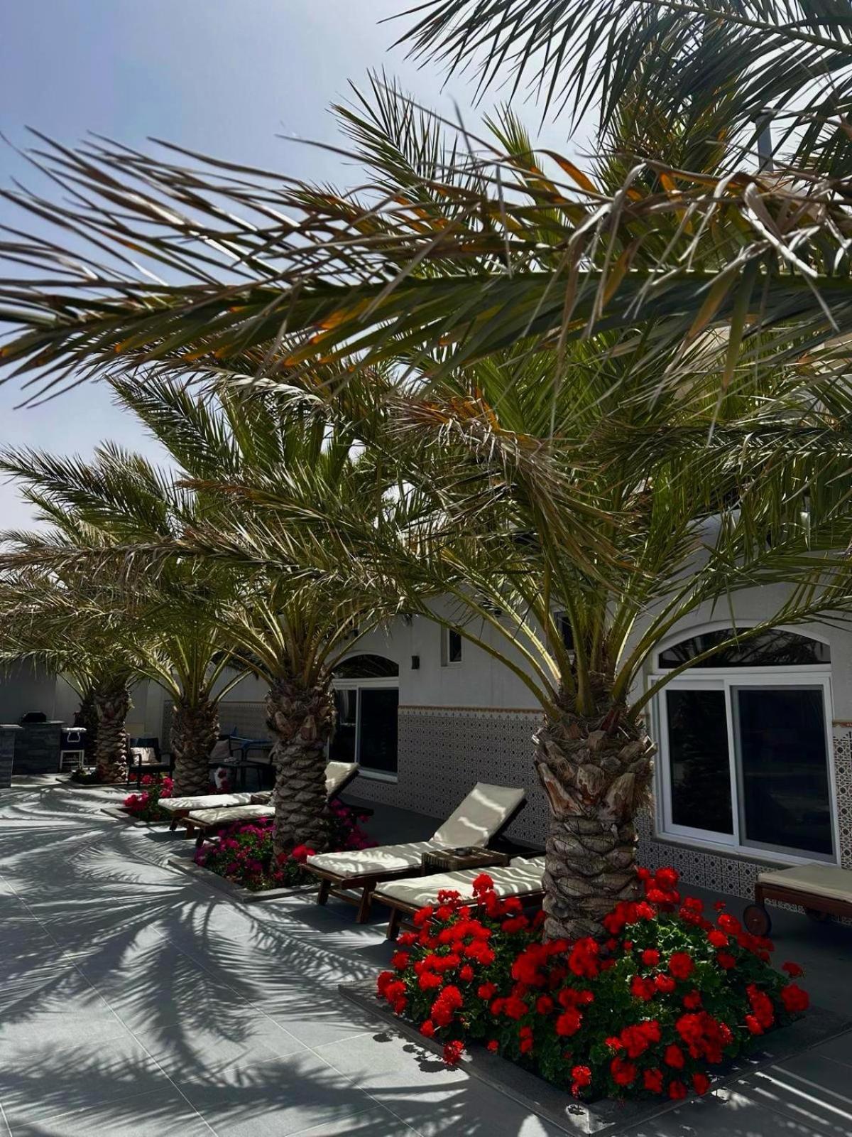 Golden Rays Chalet Madaba Exteriér fotografie